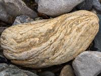 Geschwungener gelblicher Stein mit dunkleren Vertiefungslinien